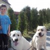 2017 &raquo; Vynášení Morany 2017
